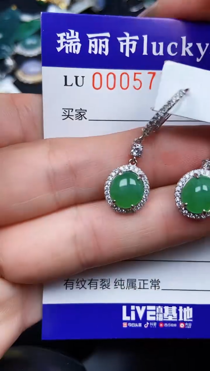 翡翠银S925镶嵌颈饰5770