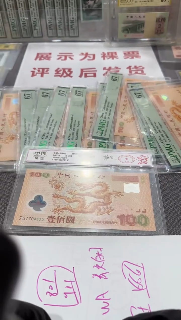 OU   大叶兰     56550111