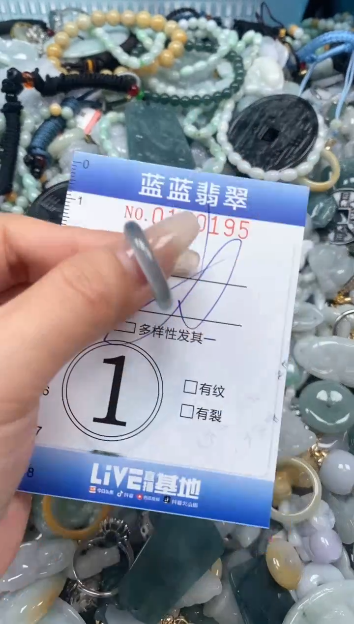 【闪购商品】翡翠颈饰未镶嵌闪购0150195多样性发其一