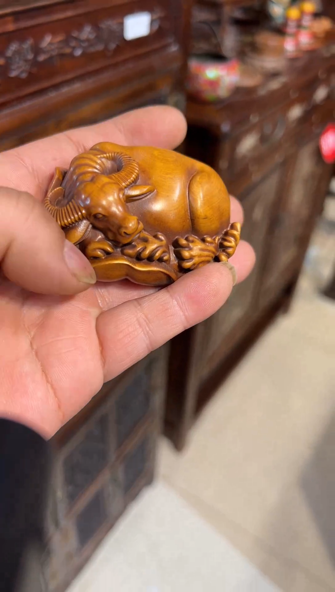 木木头款小叶黄杨元宝牛68