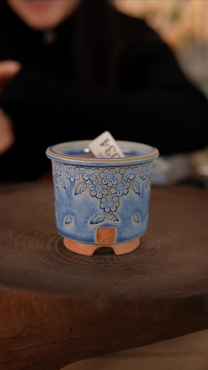 【闪购商品】陶瓷2-15-034默认有瑕口6.5