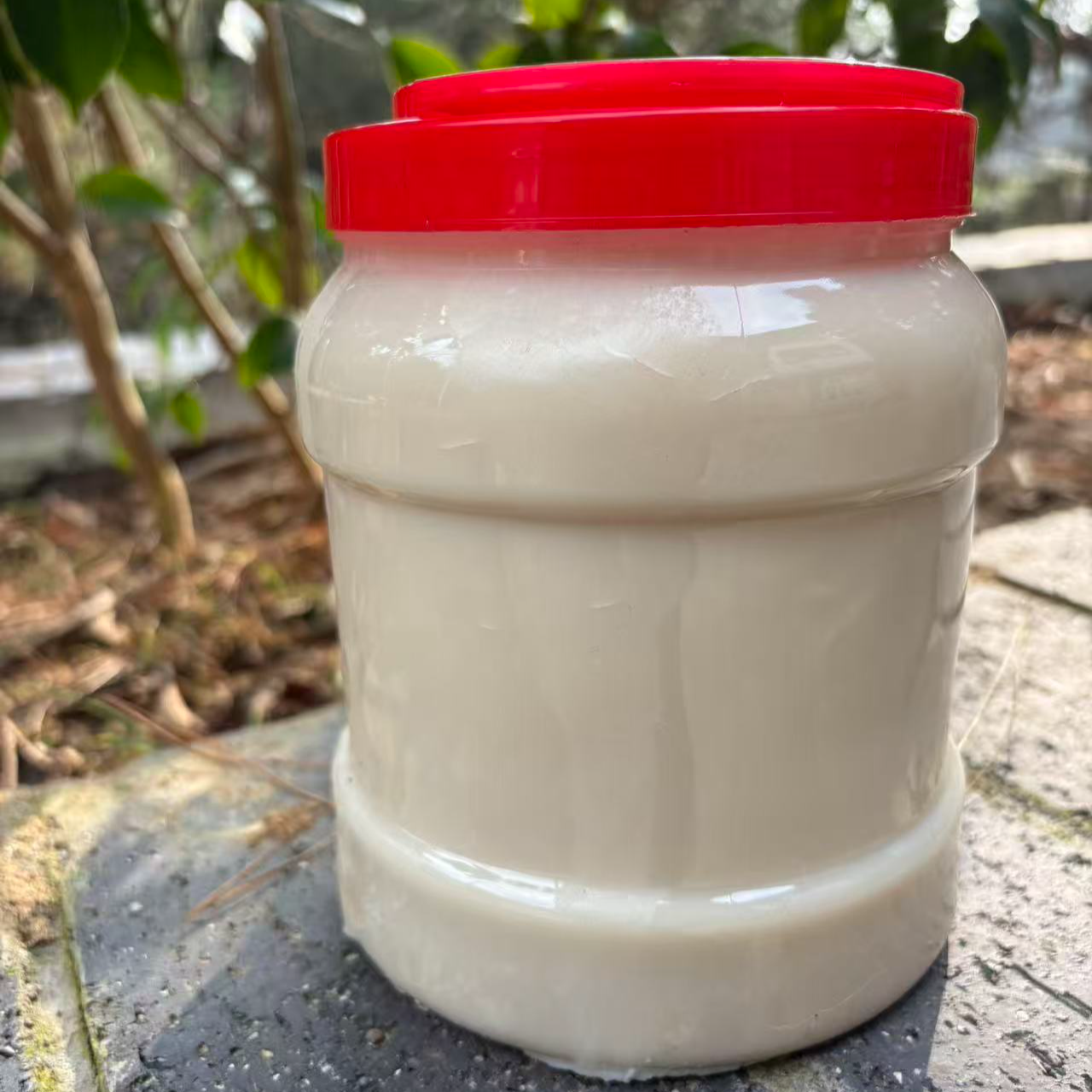 熟食喂养自熬猪油3斤多每罐