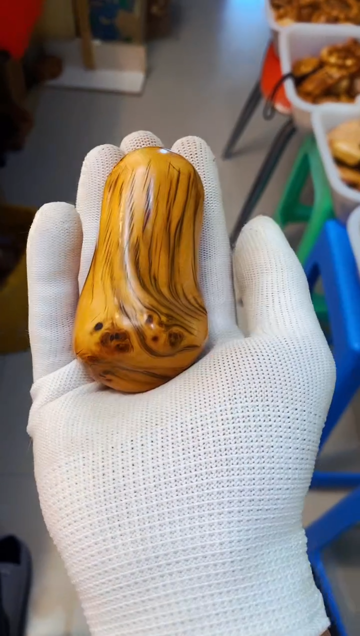 【闪购商品】柏木50崖柏崖柏崖柏