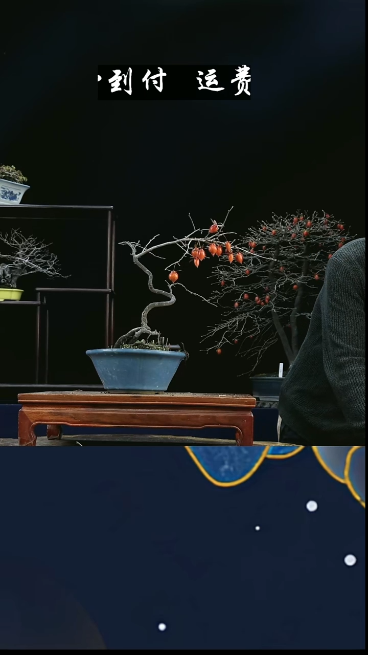 无花朵l***y665老鸦柿