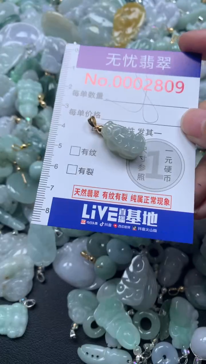 颈饰未镶嵌翡翠2809