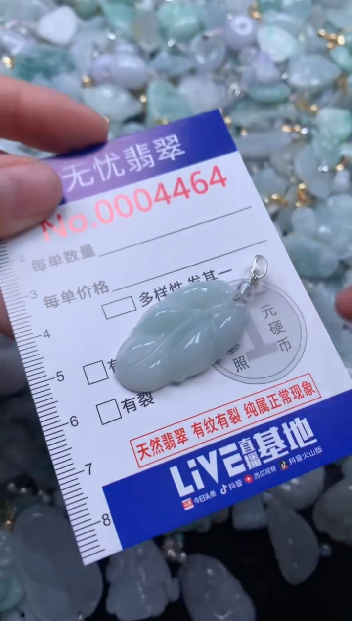 颈饰未镶嵌翡翠4464