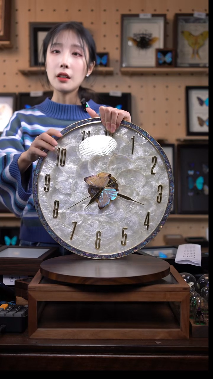 夜明珠闪蝶圆盘钟d516