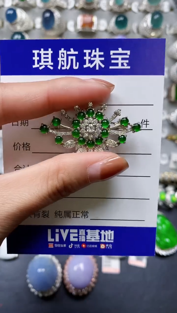 【闪购商品】翡翠颈饰银S925镶嵌0378