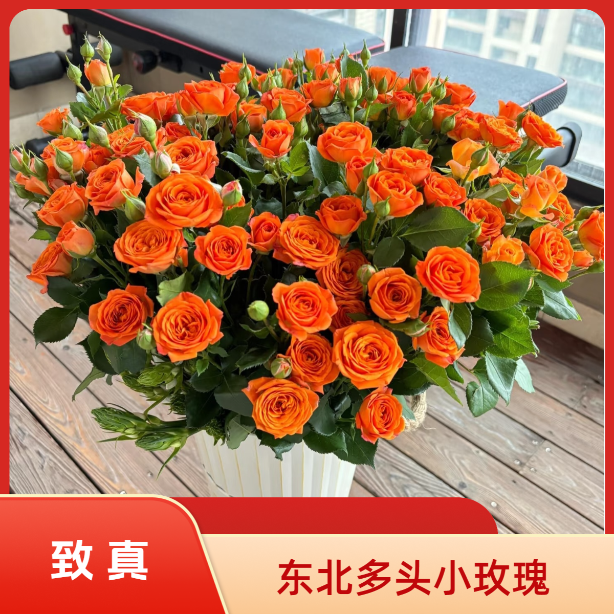 （东北多头小玫瑰）-东北基地现采直发