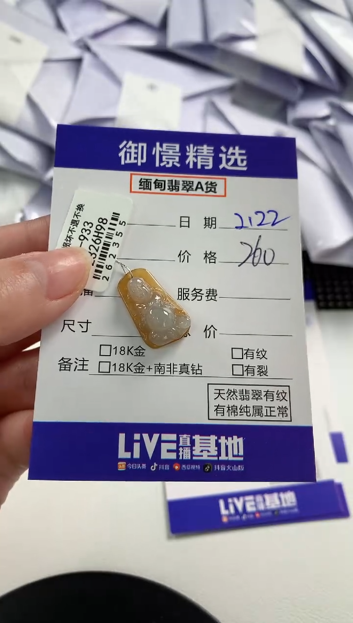 【闪购商品】翡翠颈饰未镶嵌1        