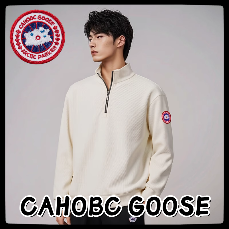 CAHOBC GOOSE男士卫衣立领套头秋冬外穿舒适百搭长袖上衣拉链款