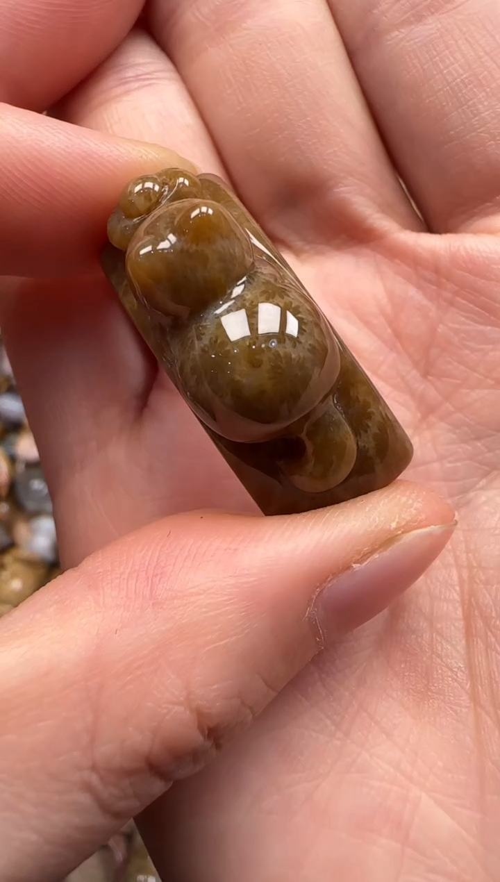 【闪购商品】硅化珊瑚（珊瑚玉）颈饰未镶嵌219