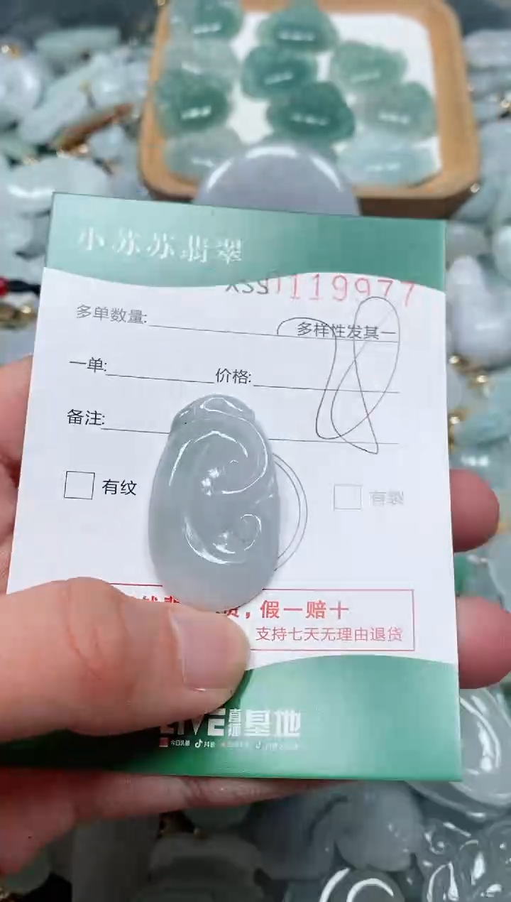 【闪购商品】翡翠颈饰未镶嵌闪购商品0119977