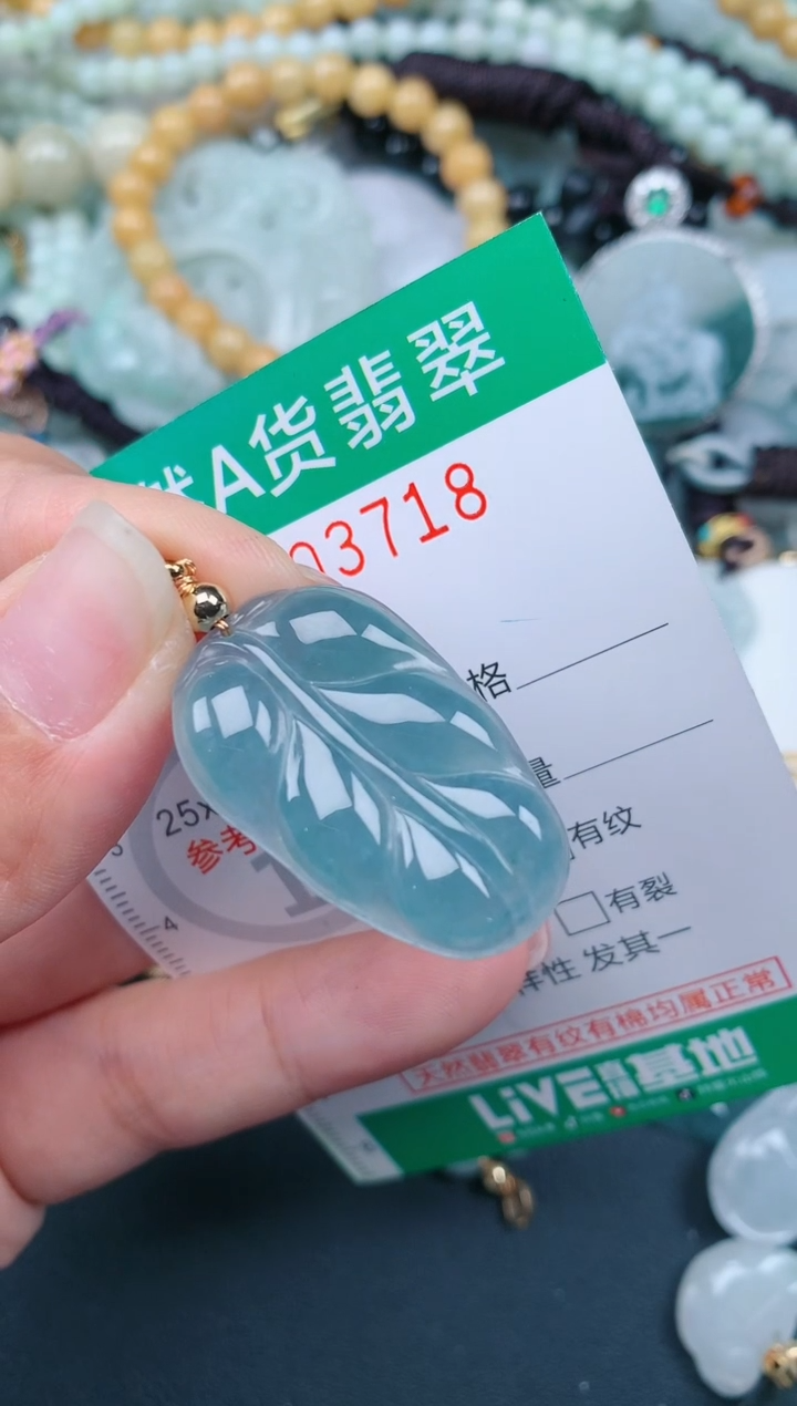翡翠未镶嵌颈饰.0003718