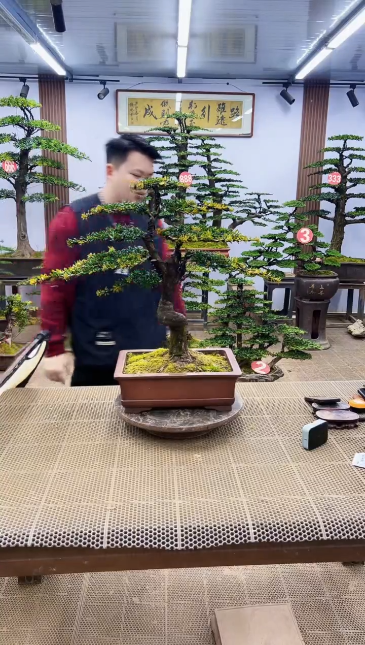 【闪购商品】0000000000
