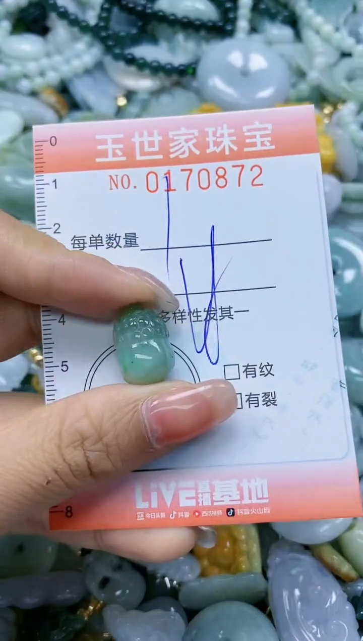 【闪购商品】翡翠颈饰未镶嵌闪购0170872