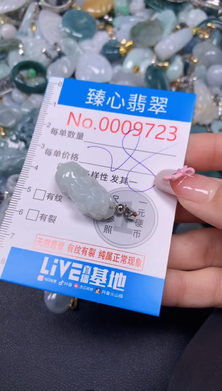【闪购商品】翡翠颈饰未镶嵌含绳0009723
