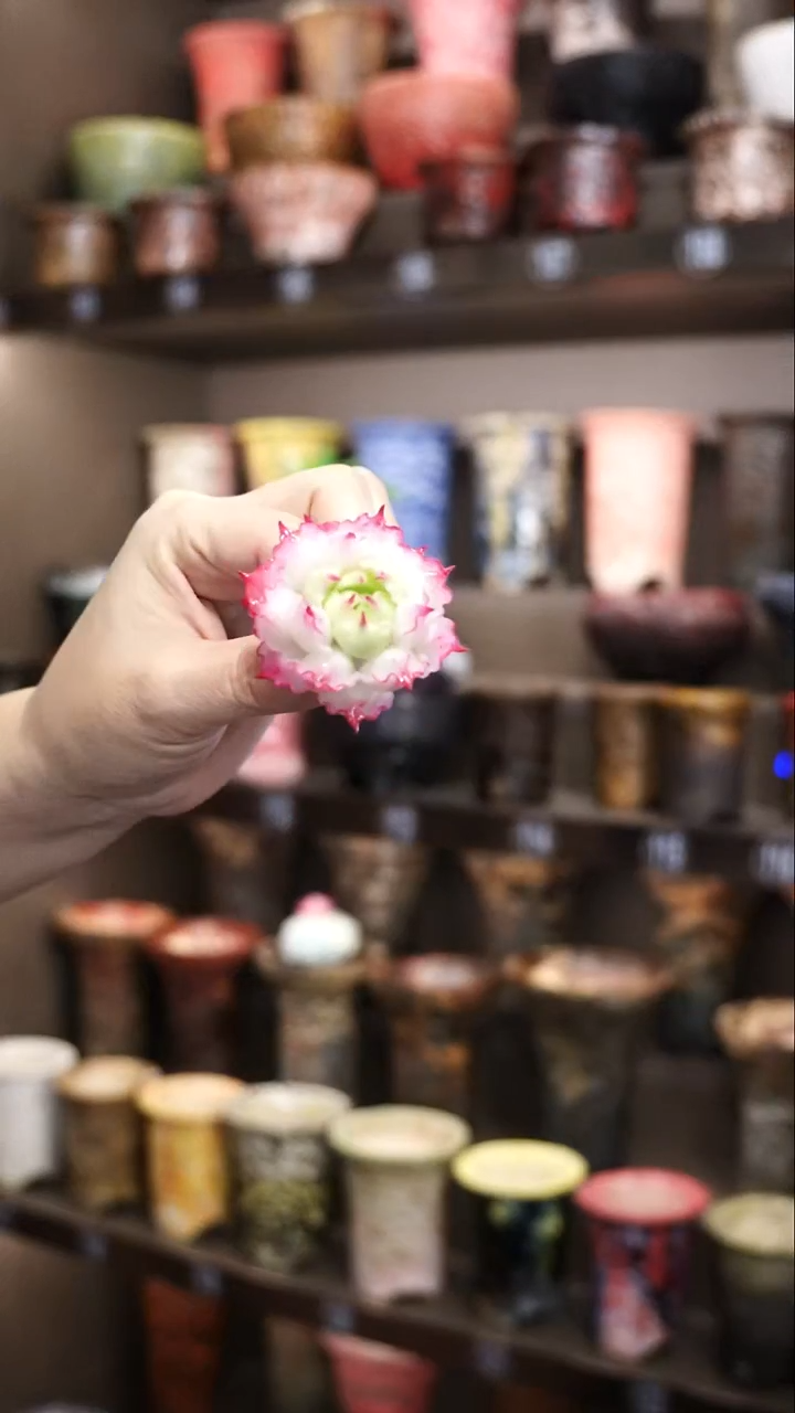 云*闲泰国进口手工花盆个性创意花盆摆件