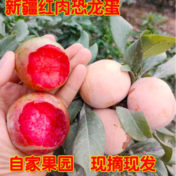 热热专属（新疆空运直发）新疆味帝恐龙蛋新鲜杏李现摘现发脆甜多汁