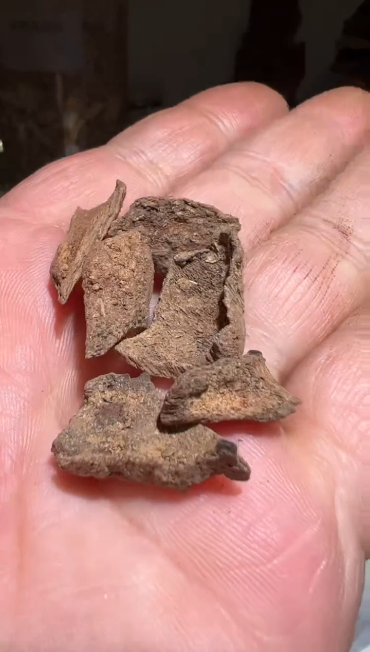 【闪购商品】沉香沉香碎屑富森2克