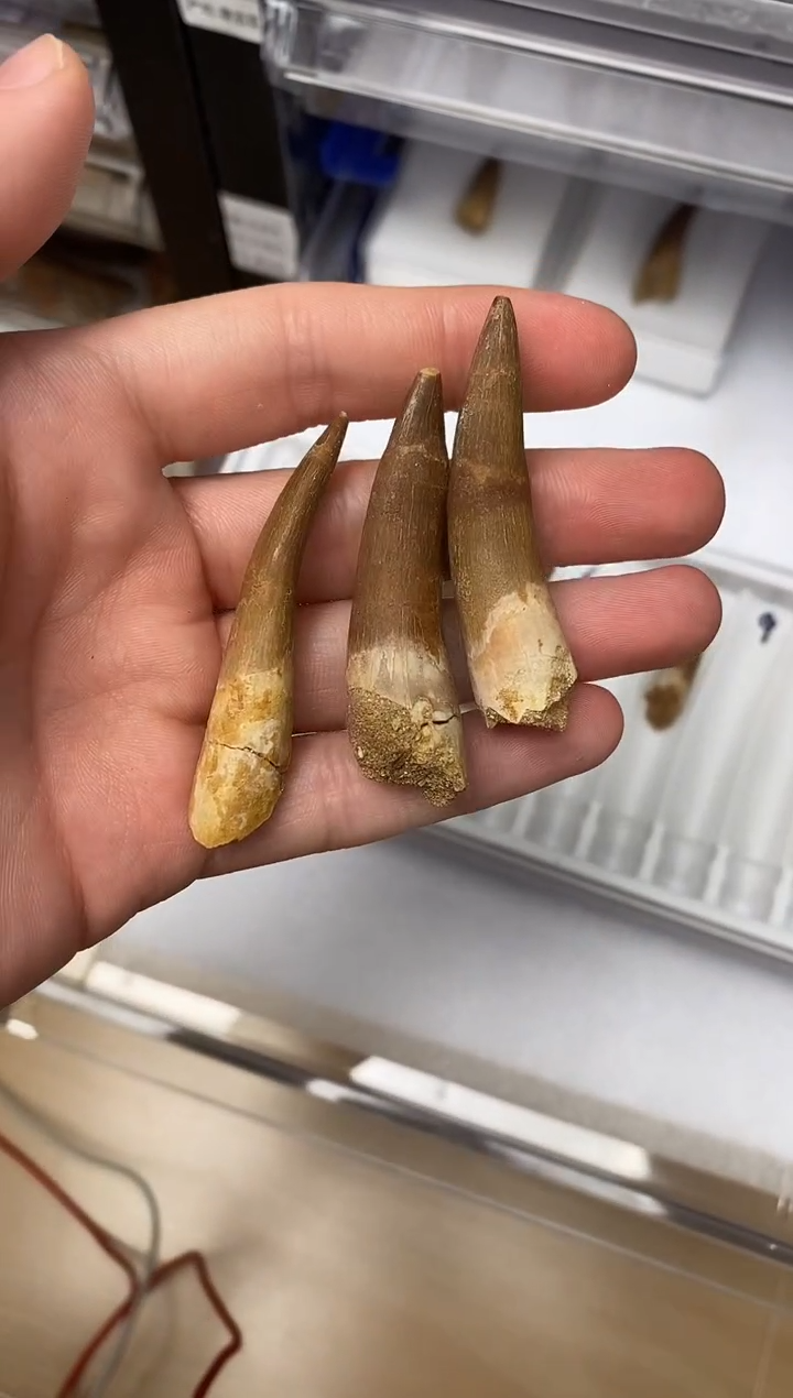 123美摆件创意礼物家居配饰新年礼物个人收藏