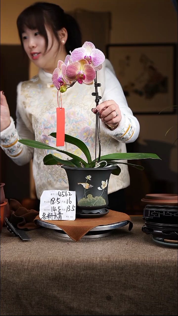 【闪购商品】紫砂花盆紫砂花盆4562+z