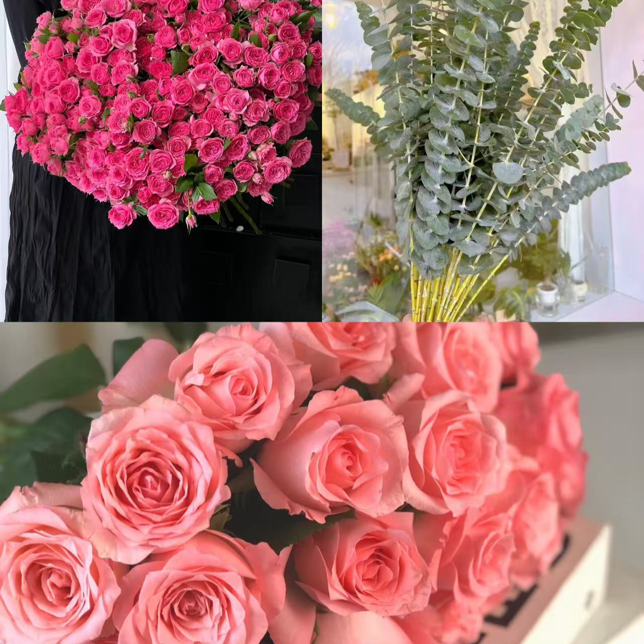 【新人专属鲜花组合】精选  居摆放插花云南鲜花优质鲜切花
