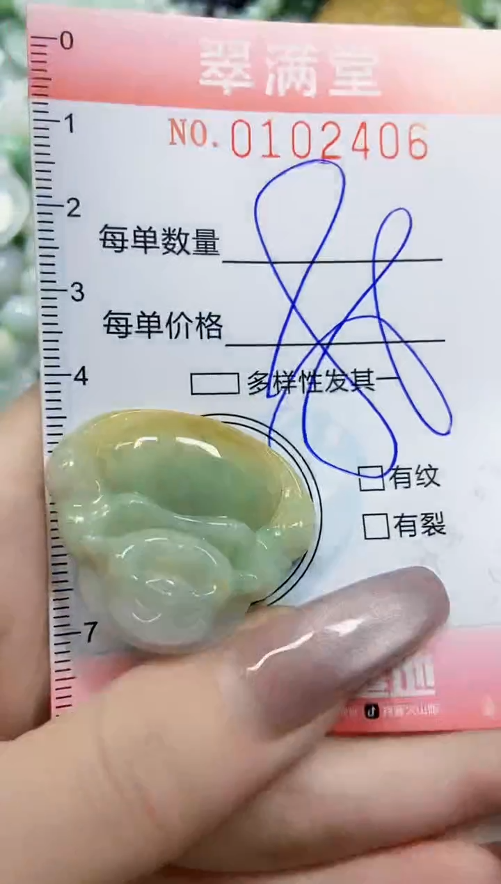 【闪购商品】翡翠颈饰未镶嵌闪购0102406