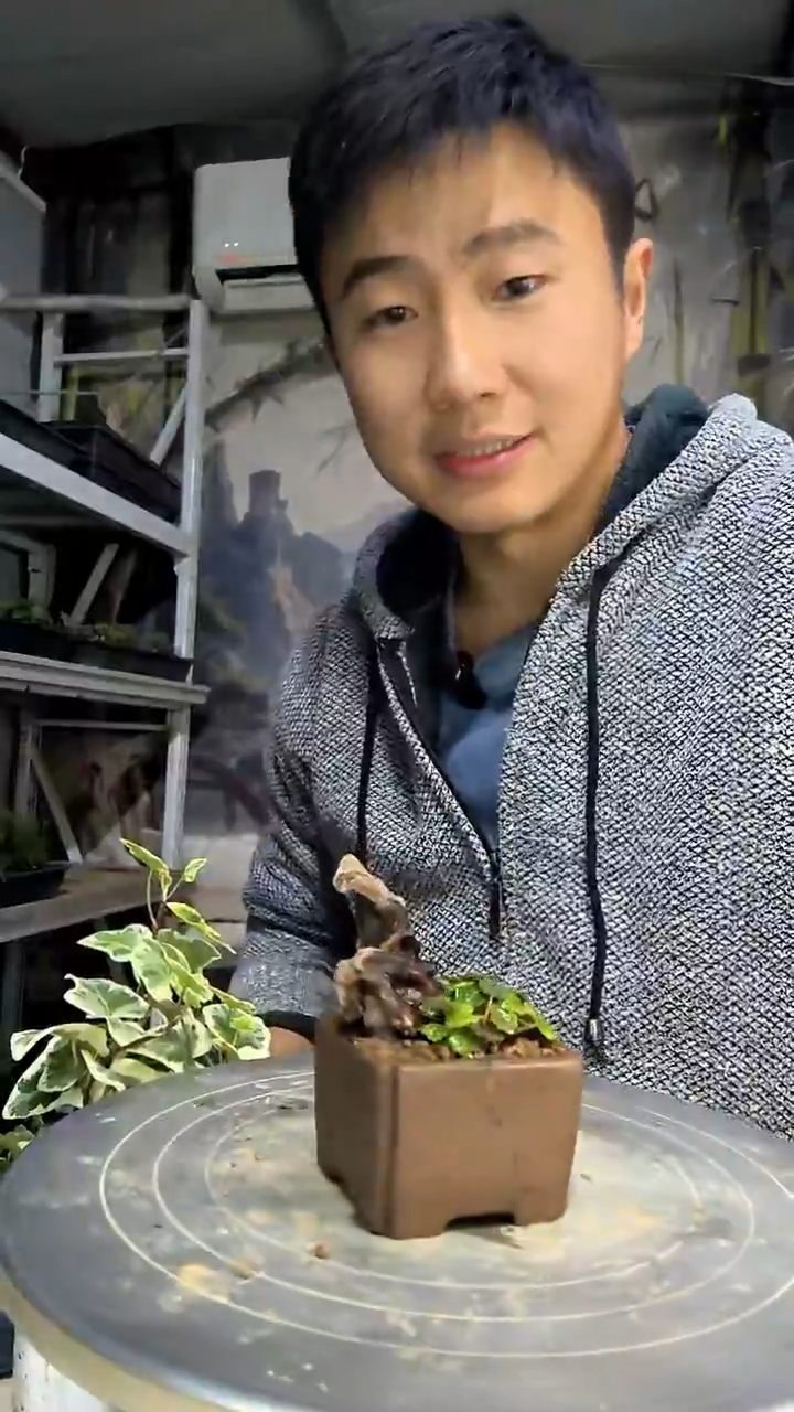 景*、中青园艺一物一拍花483