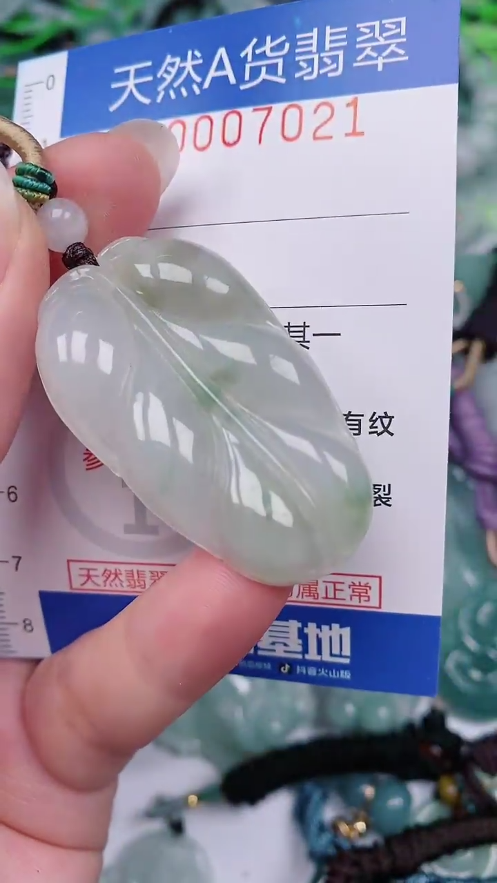 【闪购商品】翡翠未镶嵌颈饰00007021