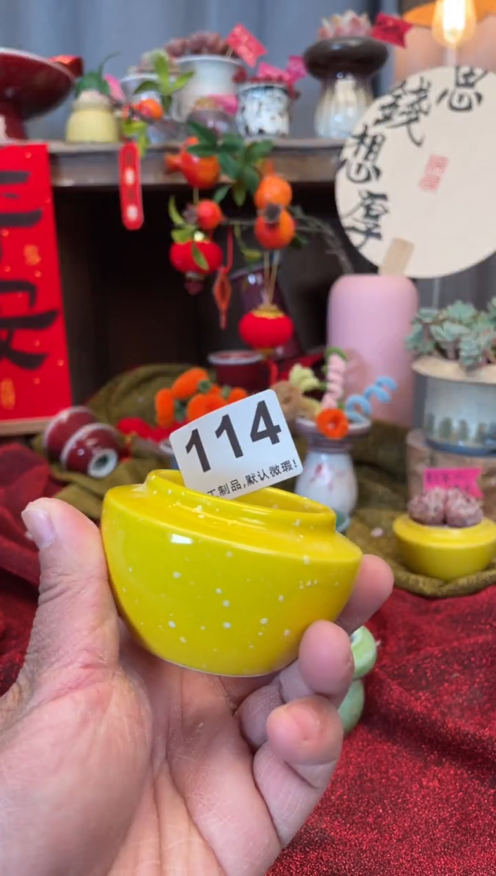 【闪购商品】摆件114知木小芳花盆