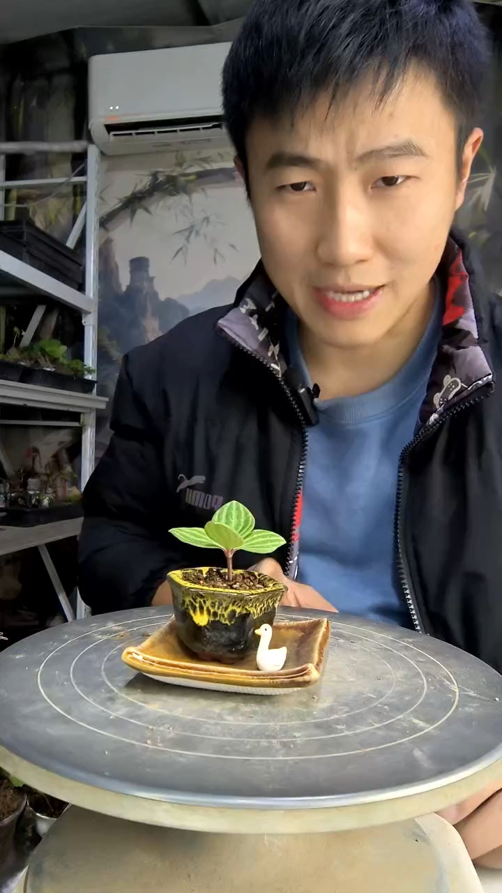 白*中青园艺一物一拍87