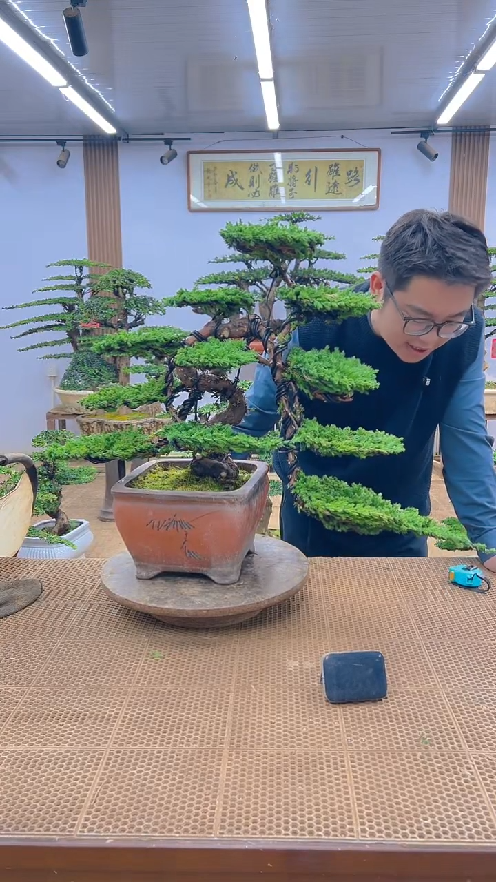 无花朵一物一拍，所见即所得