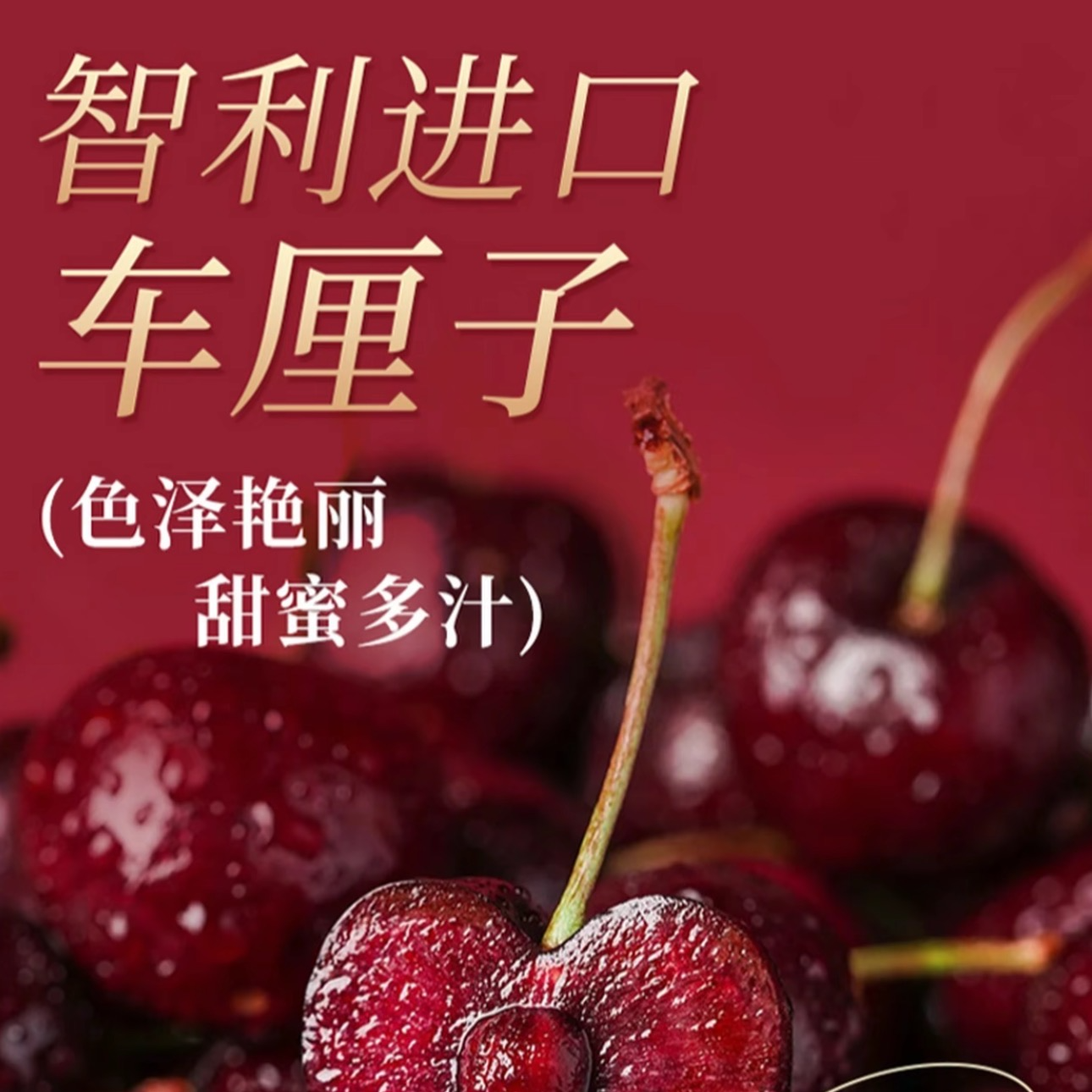 2J加黑智利进口海运桑提娜车厘子新鲜水果内附果径卡