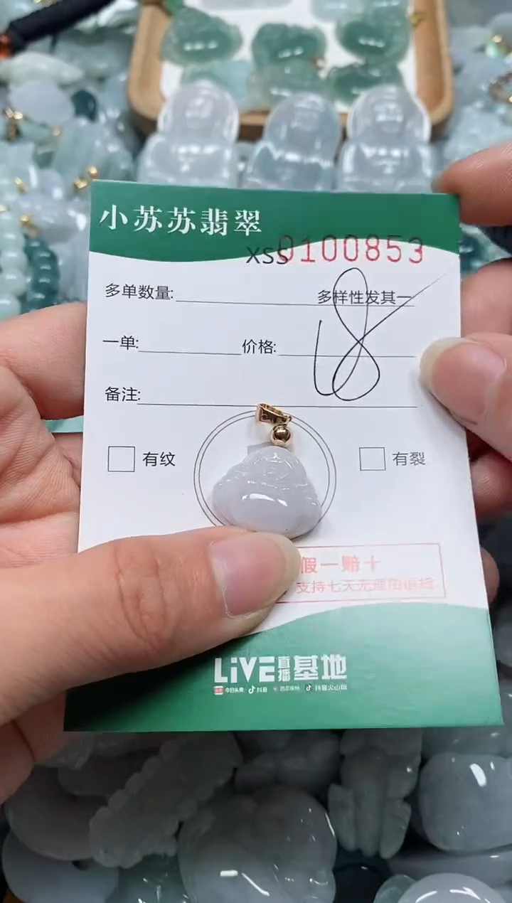 【闪购商品】翡翠颈饰未镶嵌闪购商品0100853
