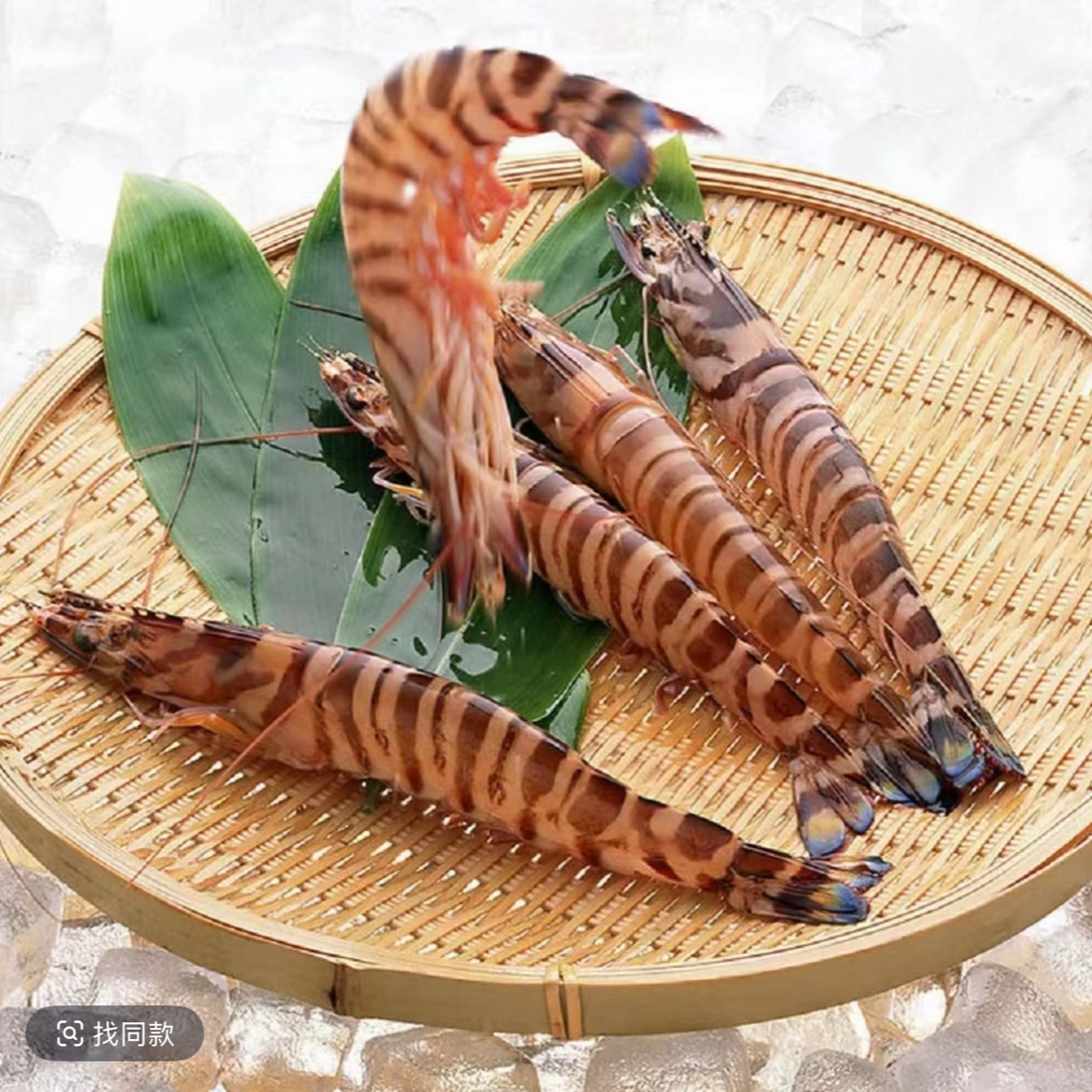 【青岛斑节虾】嫌小勿拍竹节虾50条左右/斤 四盒 净重两斤顺丰包邮