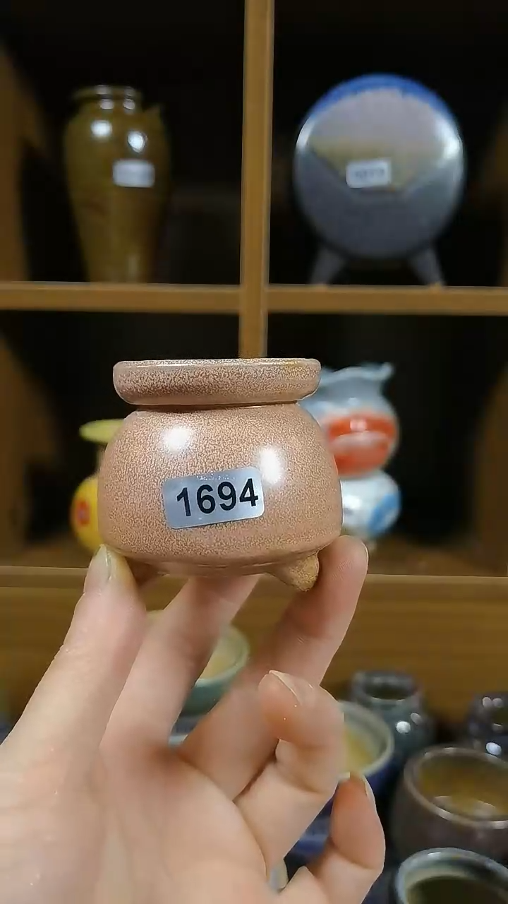 【闪购商品】红陶1694