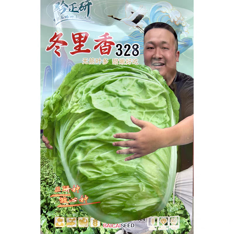 新种上市特大牛心甘蓝包菜耐热耐寒春秋四季蔬菜