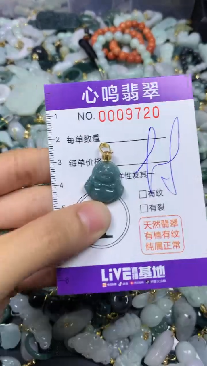 【闪购商品】翡翠颈饰未镶嵌闪购009720