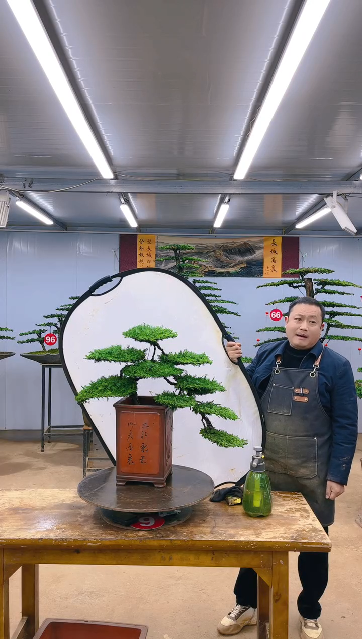 【闪购商品】精品盆景  一物一拍