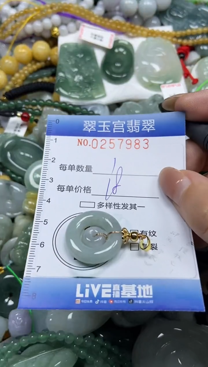 颈饰未镶嵌翡翠闪购C0257983