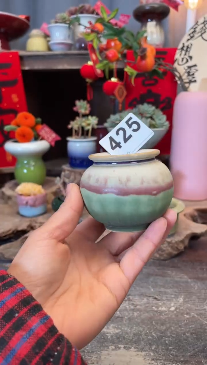 【闪购商品】摆件425知木小芳花盆