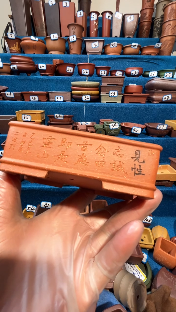 【闪购商品】紫砂紫砂花盆10.5*6.5*2.5