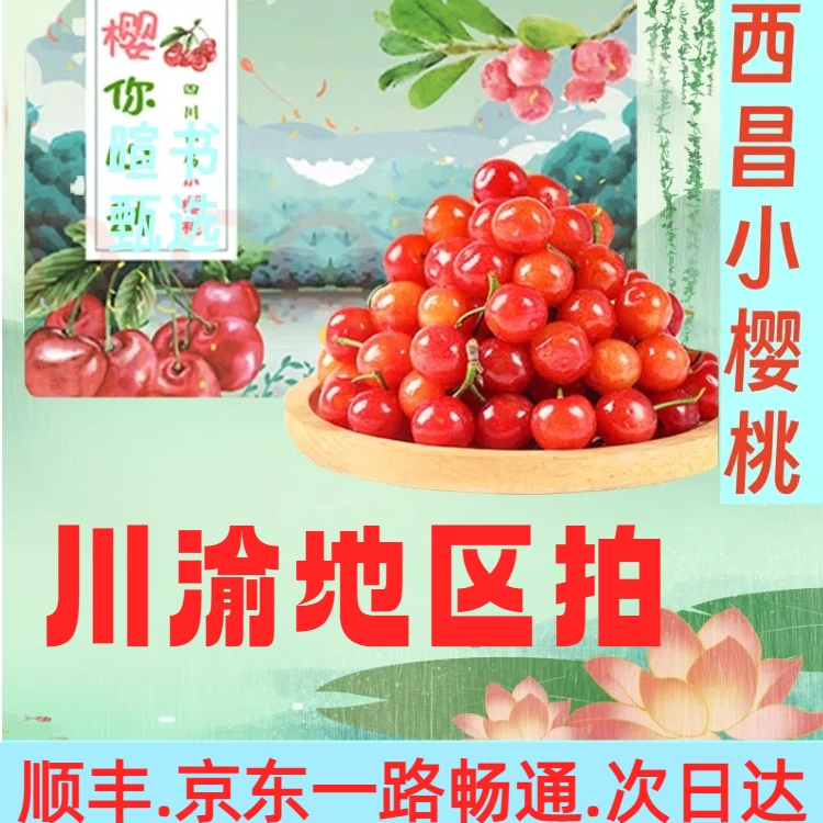 小樱桃顺丰四川西昌酸甜可口非车厘子樱桃JD京东次日达包邮1-3斤甜心樱桃