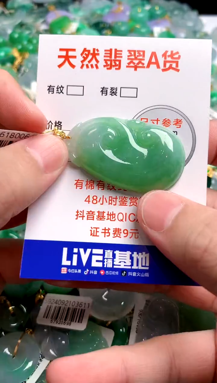 翡翠18K金镶嵌颈饰0768100799