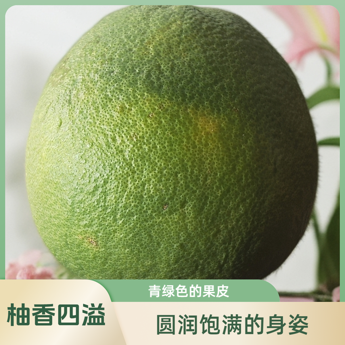 【半价购特大果】云南小辣椒活动专场品，限量开抢