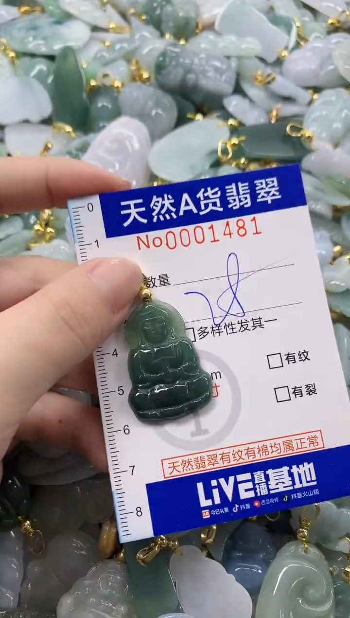 颈饰未镶嵌翡翠天然A货翡翠
