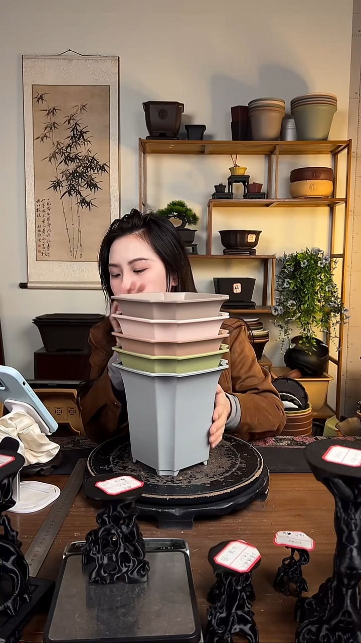 18*17.5四方尊 5只装混色