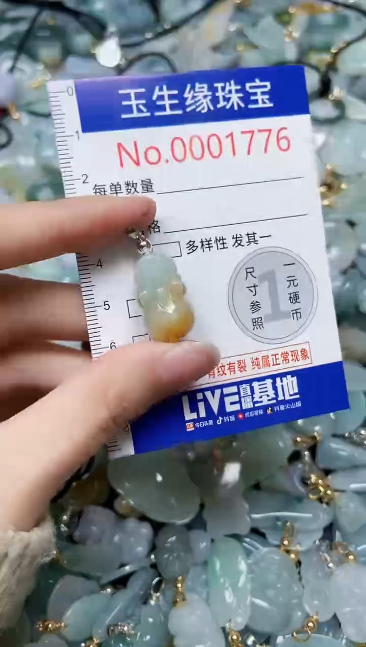 【闪购商品】翡翠颈饰未镶嵌闪购00001776