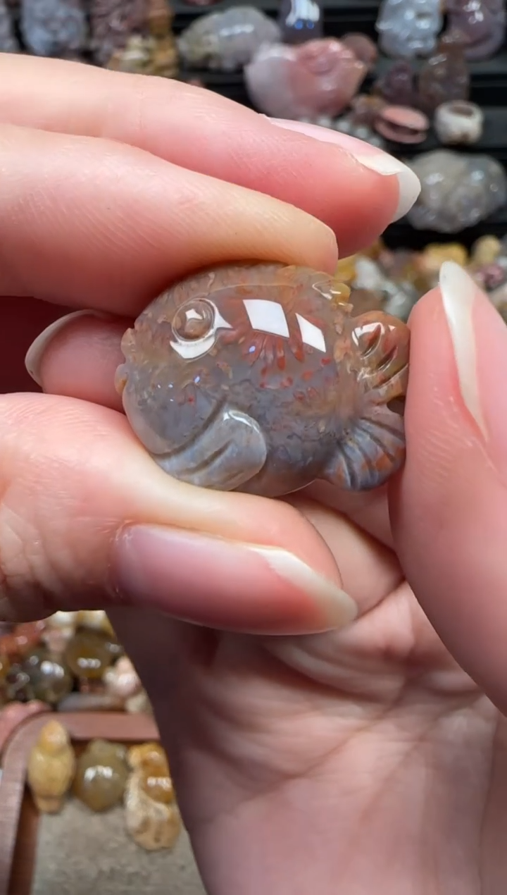 颈饰未镶嵌硅化珊瑚（珊瑚玉）697